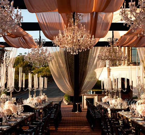 Royal Plate - Restaurant & Catering HTML Template